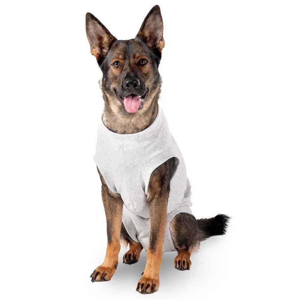 Body Protector Hundejacke von Flamingo – Produktfoto