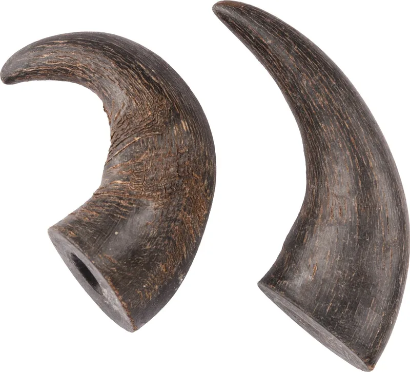Buffelhoorn Nature - Hondensnack - Small - 2 stuks by Flamingo – product photo
