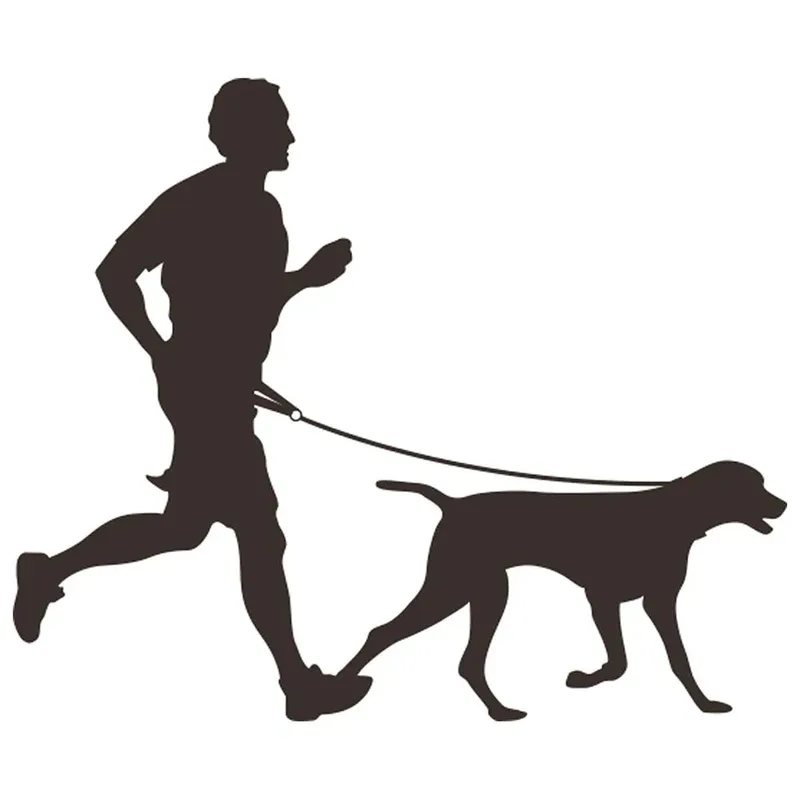 Laisse Pour Chien F Canicross de Flamingo en Noir – photo produit 3 sur 4
