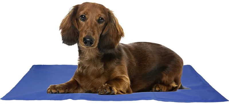 Cocapet - koelmat -coolmat - verkoelende benchmat - 50 x 40 cm - S - verkoeling voor uw hond en of uw kat- in de bench of los de Flamingo en Bleu – photo produit