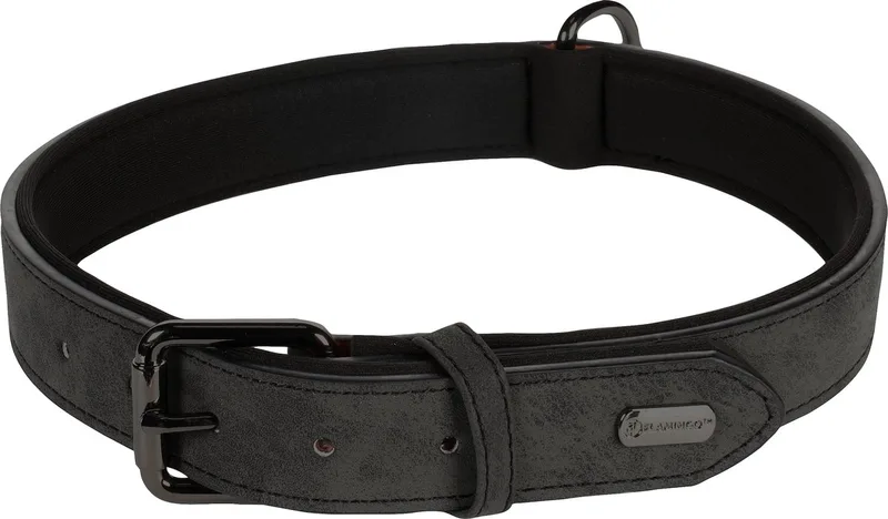 Delu Met Neopreen - Halsband Honden - Halsband Delu Xxl 52-62cm 30mm - 1st - 123731 - 1st by Flamingo in Black – product photo