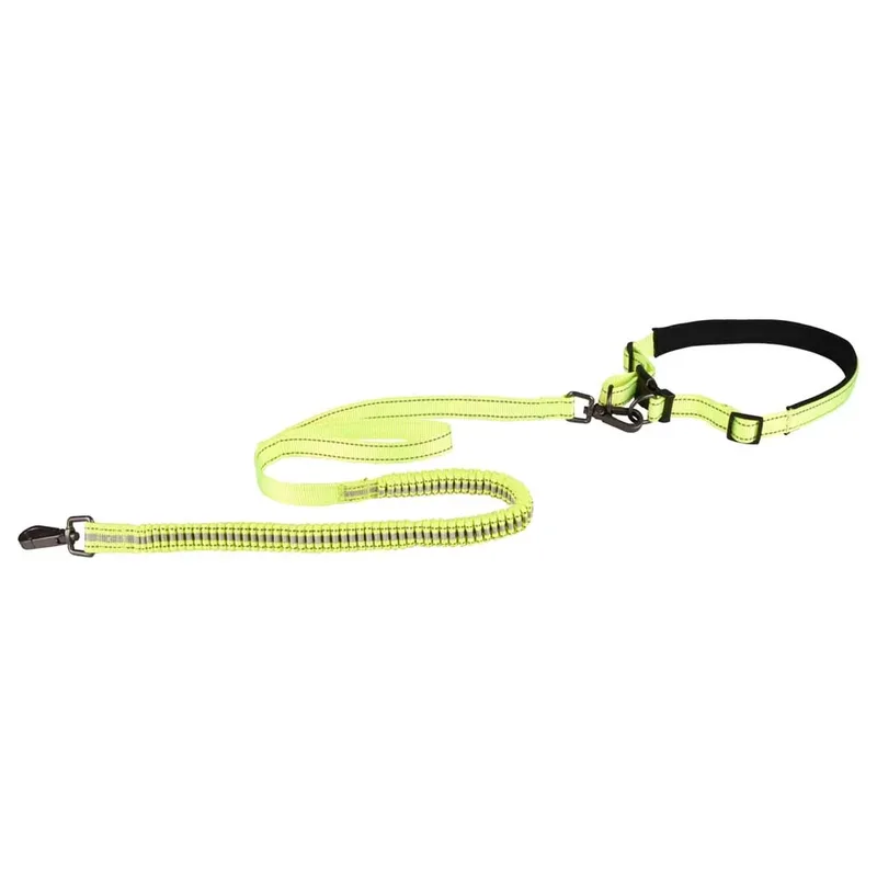 Diran Running Hondenriem by Flamingo – product photo