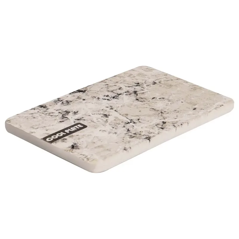 Dolo Cool Plate Hondenspeeltje by Flamingo – product photo 1 of 4