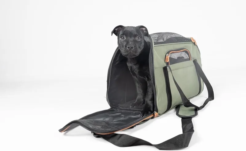 Draagtas hond – Draagtas kat – Flamingo Gisel – 48 x 25 x 33 cm – ventilatiegaas – ritssluiting voor/zijkant – 5 opbergvakken – veiligheidsriem – reistas hond & reistas kat von Flamingo in Grün – Produktfoto