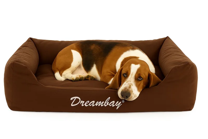 Dreambay® - Mand Honden - Bed Dreambay 100x80x25 Cm - 1st - 124041 - 1st by Flamingo in Brown – product photo