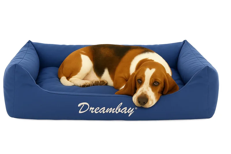 Dreambay® - Mand Honden - Bed Dreambay 100x80x25 Cm - 1st - 124045 - 1st von Flamingo in Blau – Produktfoto