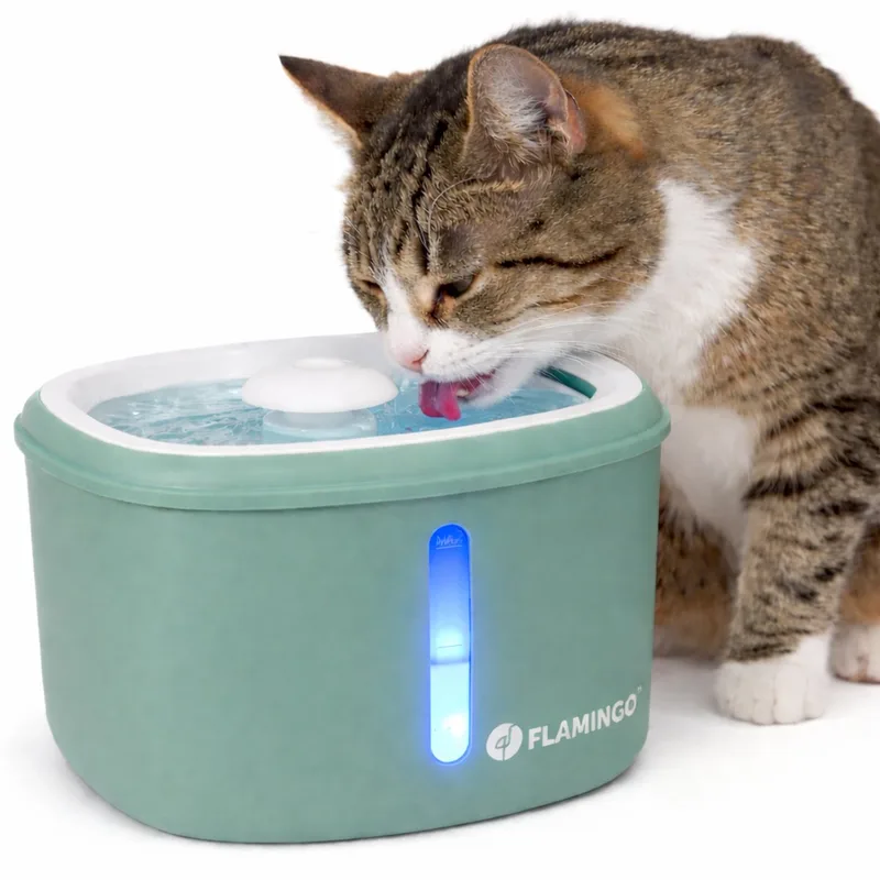 Drinkfontein kat – hond – 2,5L – Met koolstoffilter & kunstharsfilter – Stille pomp – Lichtindicator – USB-kabel 150 cm – Flamingo Finto van Flamingo in Groen – productfoto