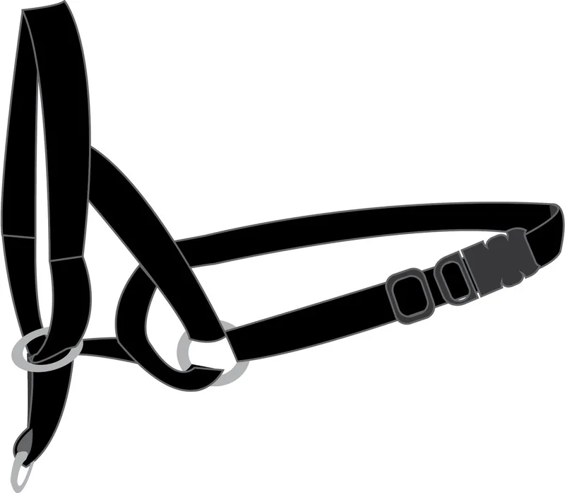Easy Leader - Hoofdhalsband Honden - Halsband Easy Leader L 50-65cm 15mm de Flamingo en Noir – photo produit