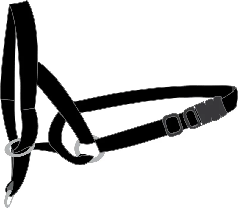 Easy Leader - Hoofdhalsband Honden - Halsband Easy Leader Xs 32-42cm 15mm - 1st - 117290 - 1st von Flamingo in Schwarz – Produktfoto