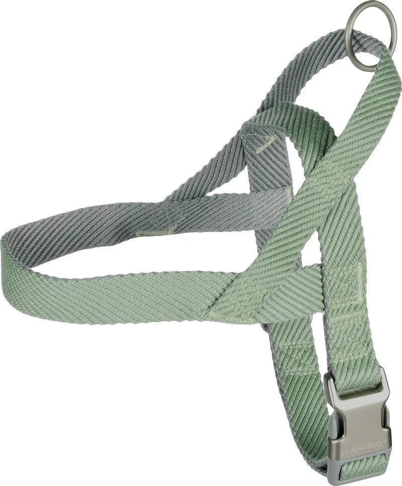 Elly Noors - Harnas Honden - Noors Harnas Elly M 52-65cm 25mm - 1st - 132446 - 1st de Flamingo en Vert – photo produit