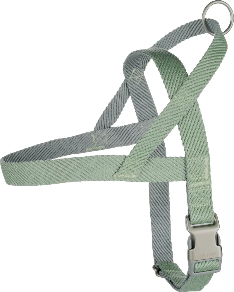 Elly Noors - Harnas Honden - Noors Harnas Elly Xl 65-85cm 25mm - 1st - 132438 - 1st de Flamingo en Vert – photo produit