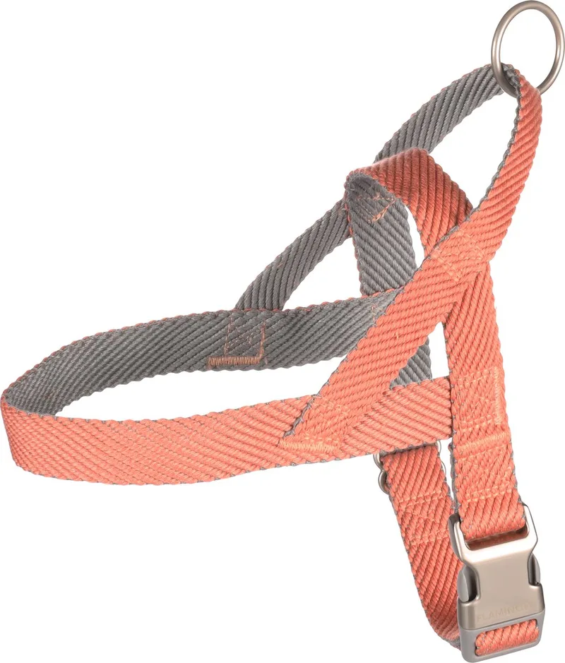 Elly Noors - Harnas Honden - Noors Harnas Elly Zalmroze M 52-65cm 25mm - 1st - 132322 - 1st von Flamingo in Rosa – Produktfoto