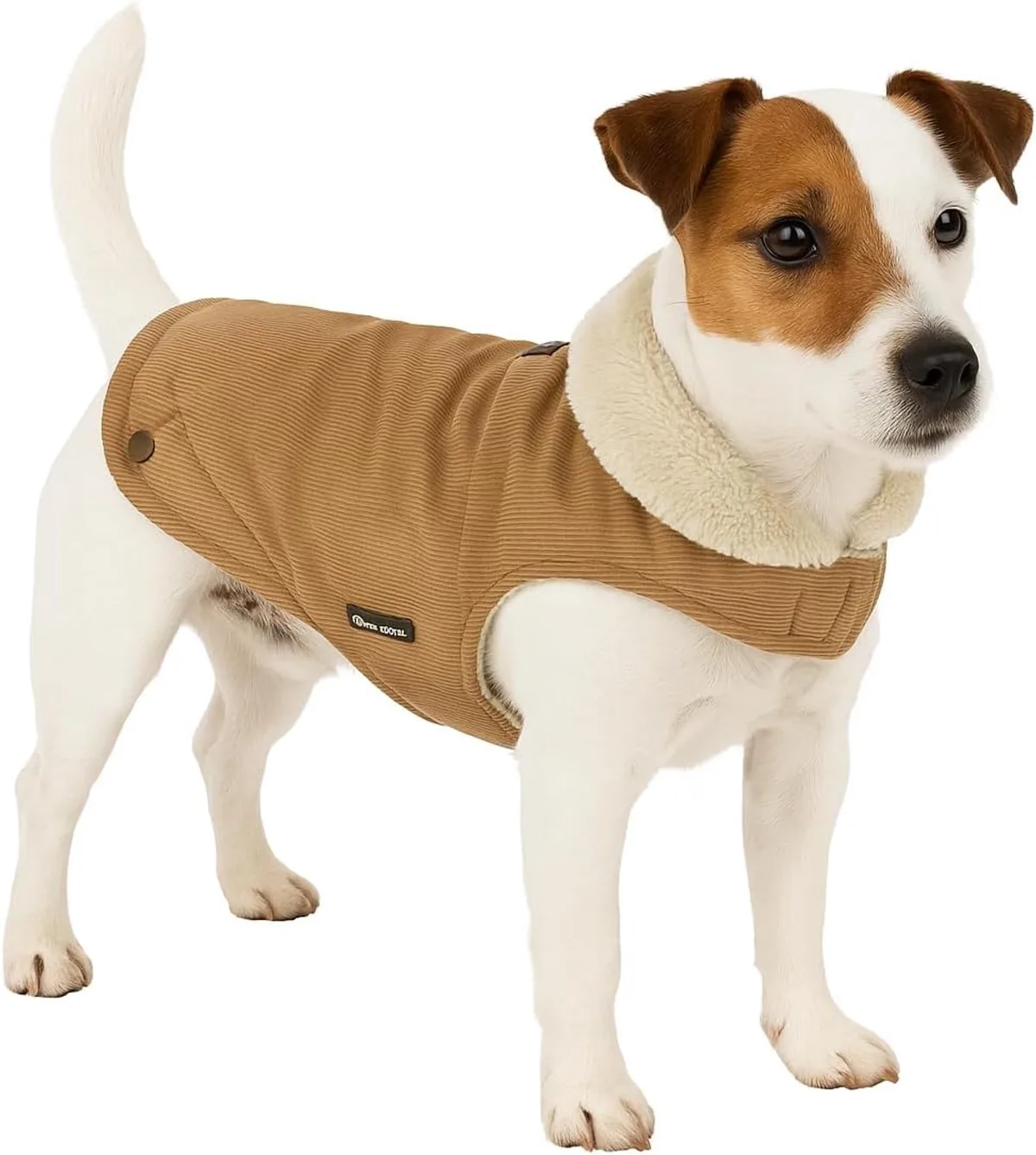 Endor Hondenjas Beige 30cm - Comfortabele Bescherming van Flamingo – productfoto