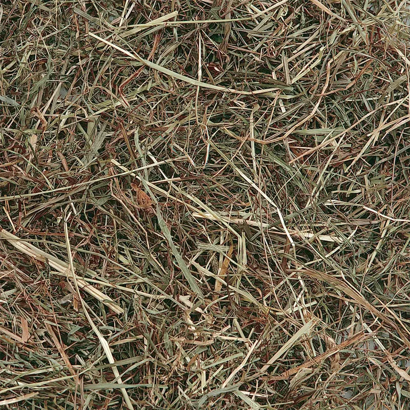 Foin De Montagne à La Menthe 500g by Flamingo – product photo