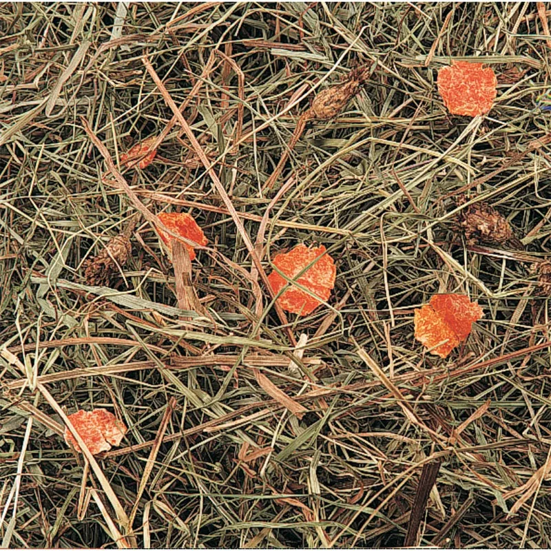 Foin De Montagne Avec Carotte 500g de Flamingo – photo produit