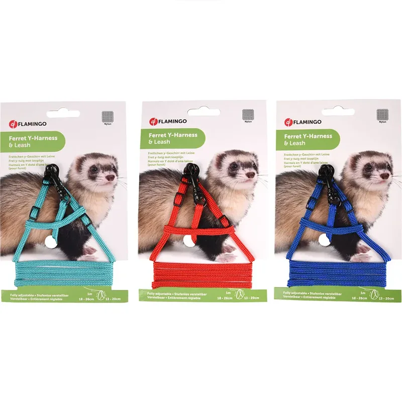Harnais Et Collier Pour Furet Assorti de Flamingo – photo produit