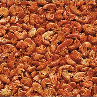 Gammarus Schildkrötenfutter 250ml fra Flamingo – produktbillede 1 af 2