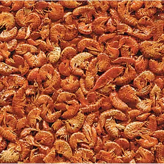 Nourriture Pour Tortues Gammarus 3l de Flamingo – photo produit 1 sur 2