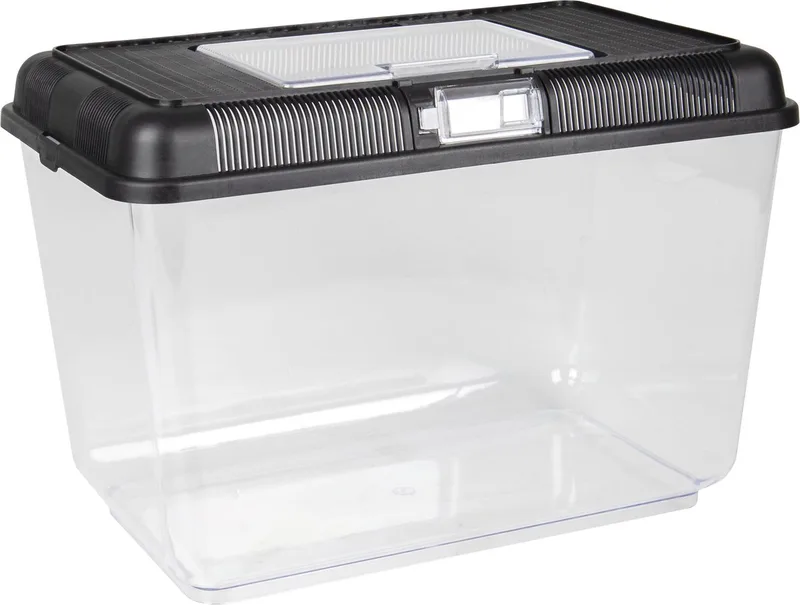 Goldie - Aquarium Vis - Aquarium Goldie 16l - 1st - 116289 - 1st de Flamingo en Noir – photo produit 1 sur 5