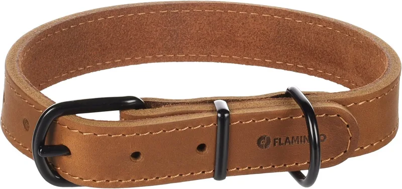 Halsband Montana Leer by Flamingo in Cognac – product photo