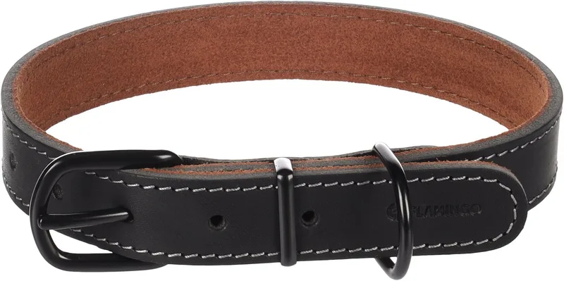 Halsband Montana Zwart Leer by Flamingo – product photo