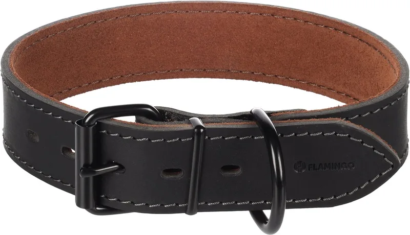 Halsband Montana Zwart Leer Breed fra Flamingo – produktbillede