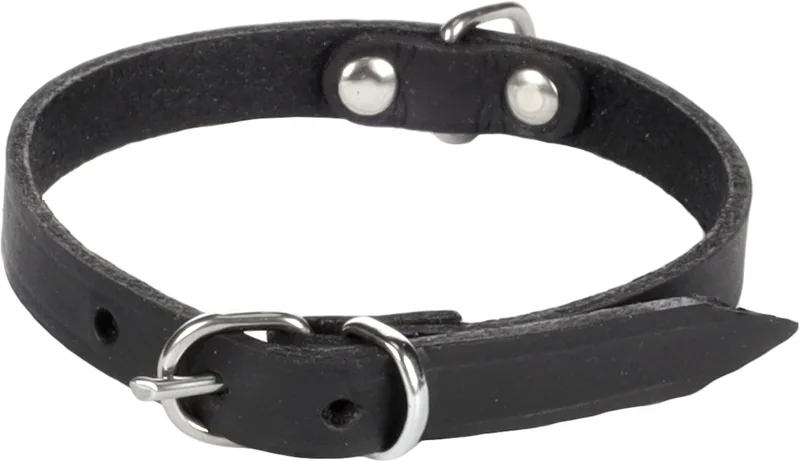 Halsband Rondo Klink Zwart - Zwart - 32 cm x 10 mm by Flamingo in Black – product photo