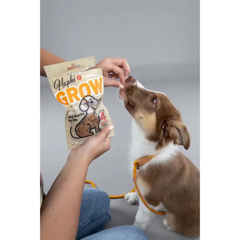 hapki -growth -puppysnack - hondensnack - chicken cubes - geen toegevoegde suiker 85 gr de Flamingo – photo produit 4 sur 4