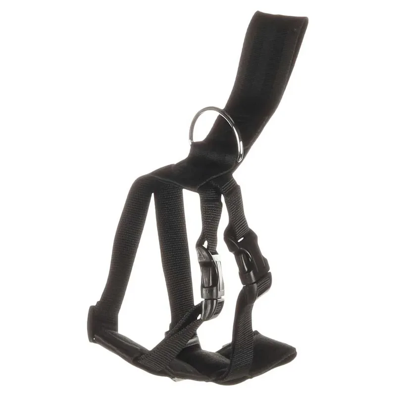 Harnais De Voiture Pour Chien 5-12kg de Flamingo – photo produit 1 sur 6