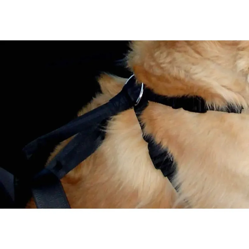 Harnais De Voiture Pour Chien 5-12kg de Flamingo – photo produit 4 sur 6