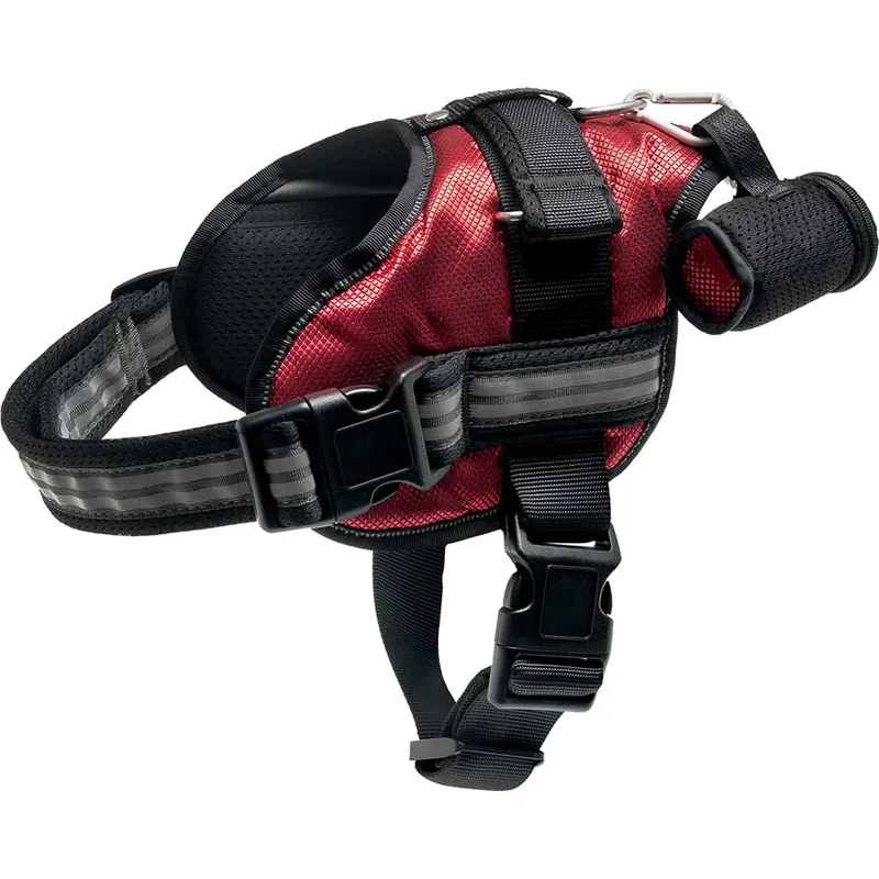 Harnais Pour Chien Adventure von Flamingo – Produktfoto