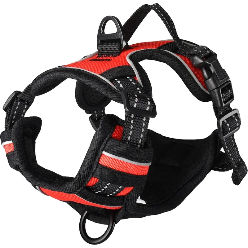 Harnais Pour Chien Balou van Flamingo – productfoto