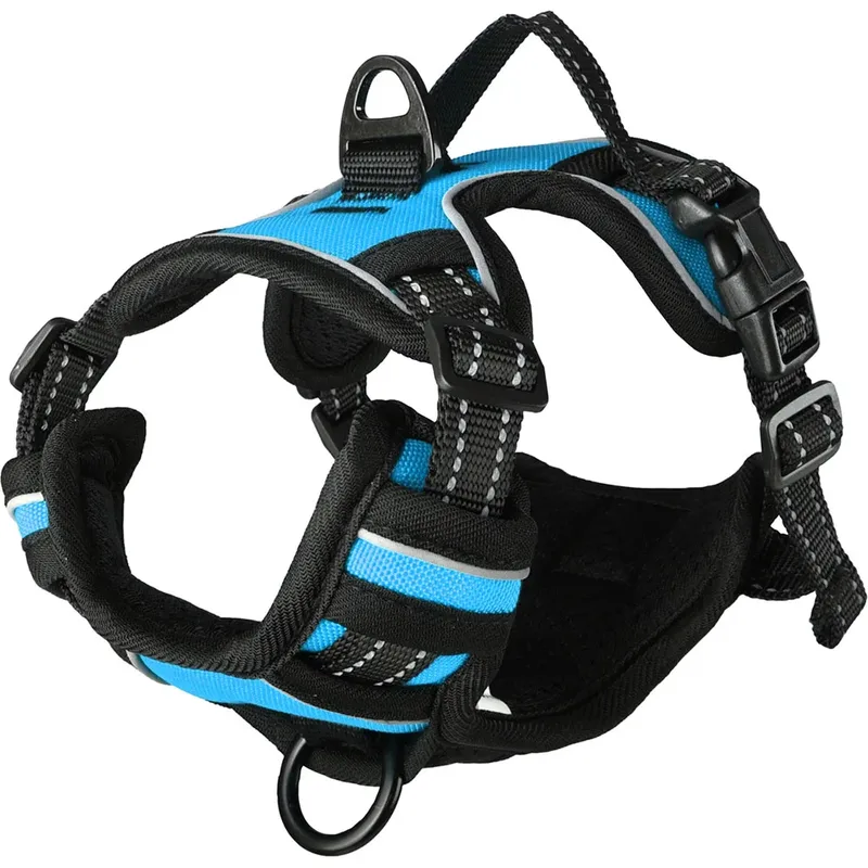 Harnais Pour Chien Balou by Flamingo – product photo