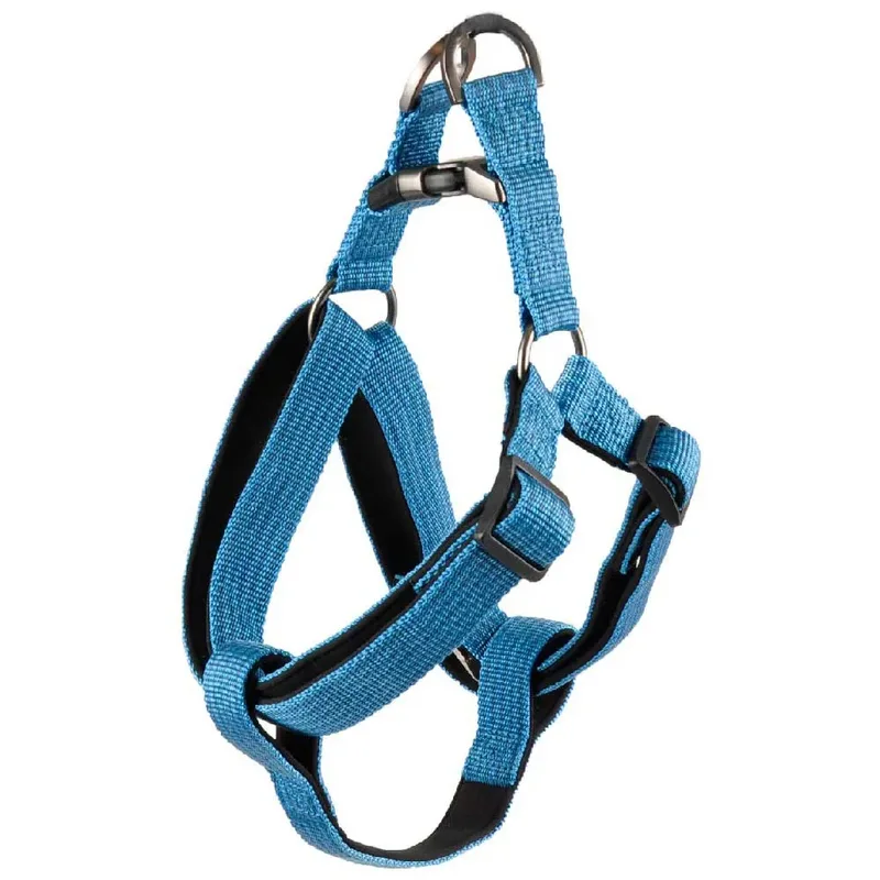 Harnais Pour Chien Rover Jannu by Flamingo – product photo