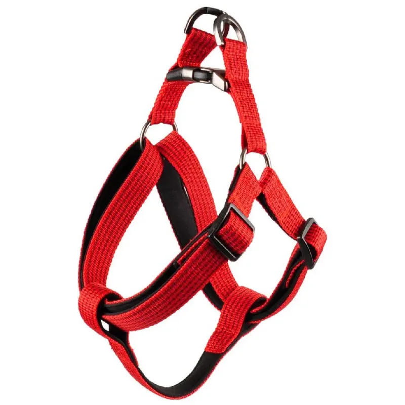 Harnais Pour Chien Rover Jannu de Flamingo – photo produit