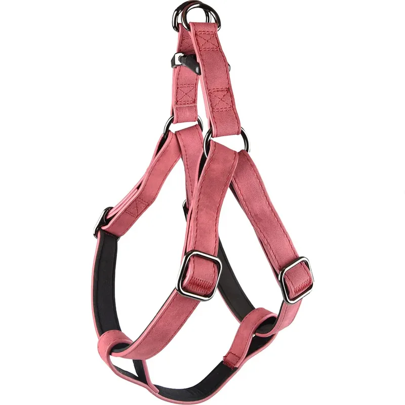 Harnais Pour Chien Step And Go Delu by Flamingo – product photo 1 of 3