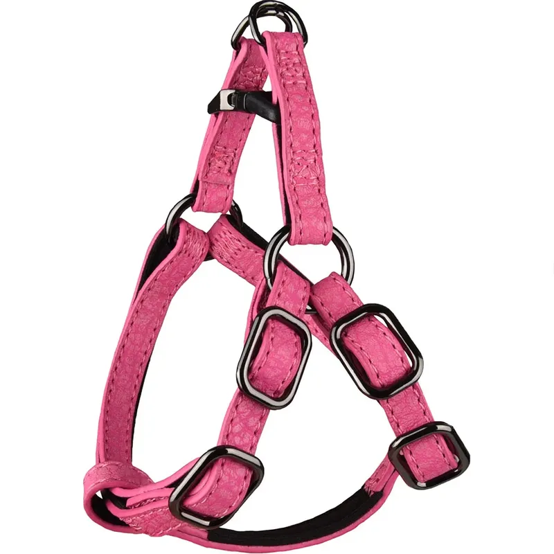 Harnais Pour Chien Step And Go Leza by Flamingo – product photo