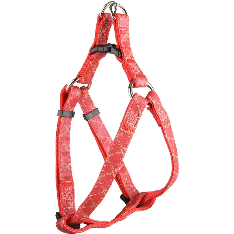 Harnais Pour Chien Step&go Odin by Flamingo – product photo