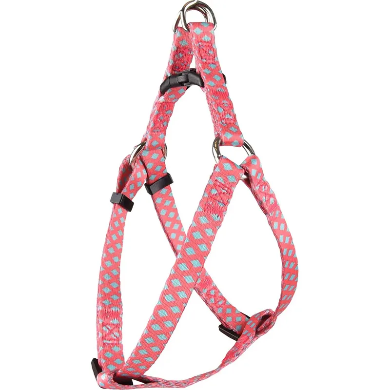 Harnais Pour Chien Step&go Sue by Flamingo – product photo