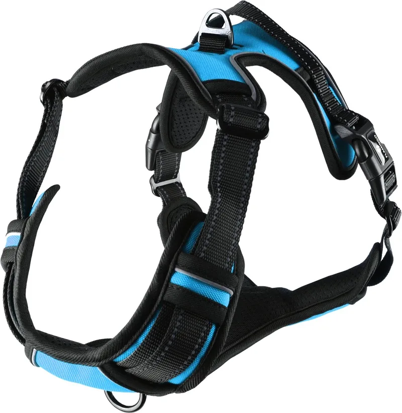 Harnas hond – honden tuigje – harnas hond anti trek – hondentuigjes – hondentuig anti trek – Flamingo Balou – maat L – A:40-62cm B:60-85cm von Flamingo in Blau – Produktfoto