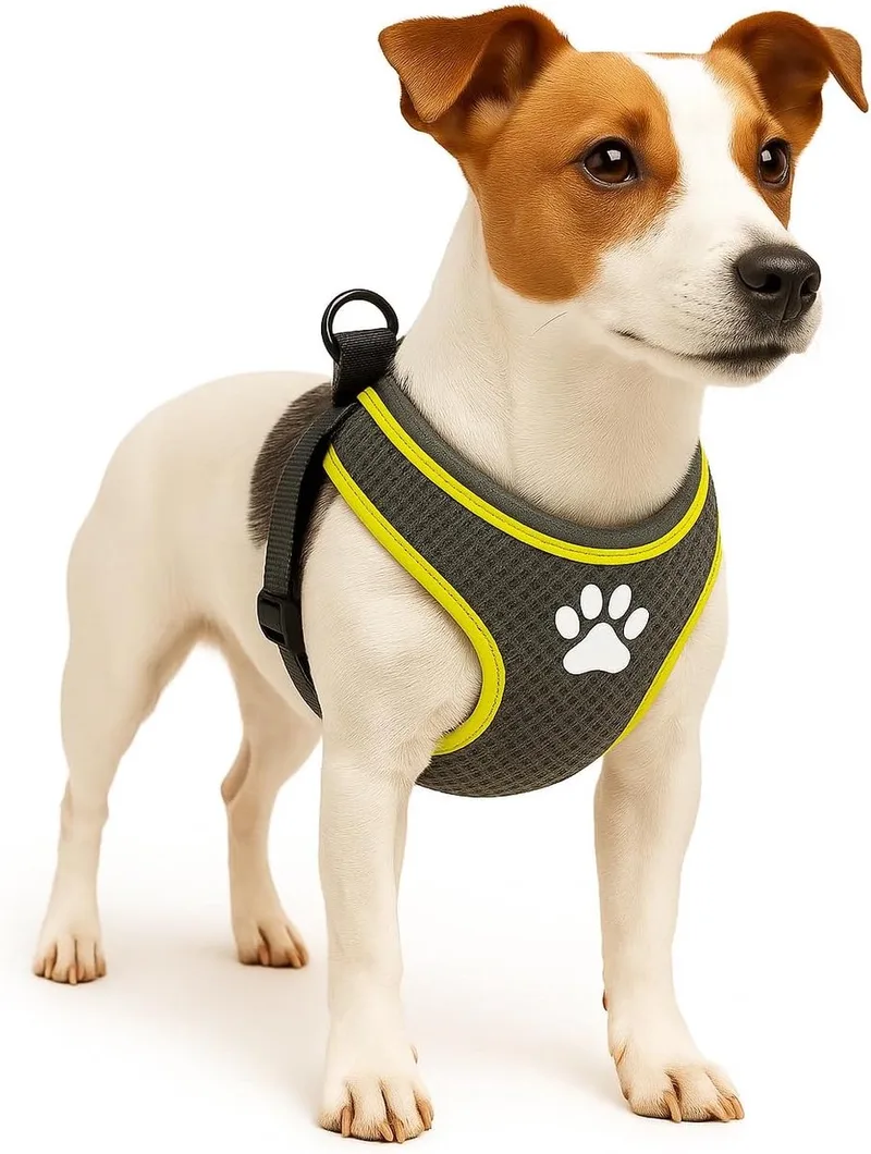 Harnas hond – honden tuigje – harnas hond anti trek – hondentuigjes – hondentuig anti trek – Flamingo Step&Go Tasha – maat S – A:46cm B:55-65cm x 12mm x 5mm de Flamingo en Gris – photo produit