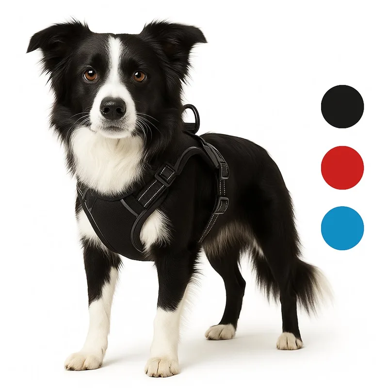 Harnas hond – honden tuigje – harnas hond anti trek – hondentuigjes – hondentuig anti trek – Flamingo Balou – maat L – A:40-62cm B:60-85cm by Flamingo in Black – product photo