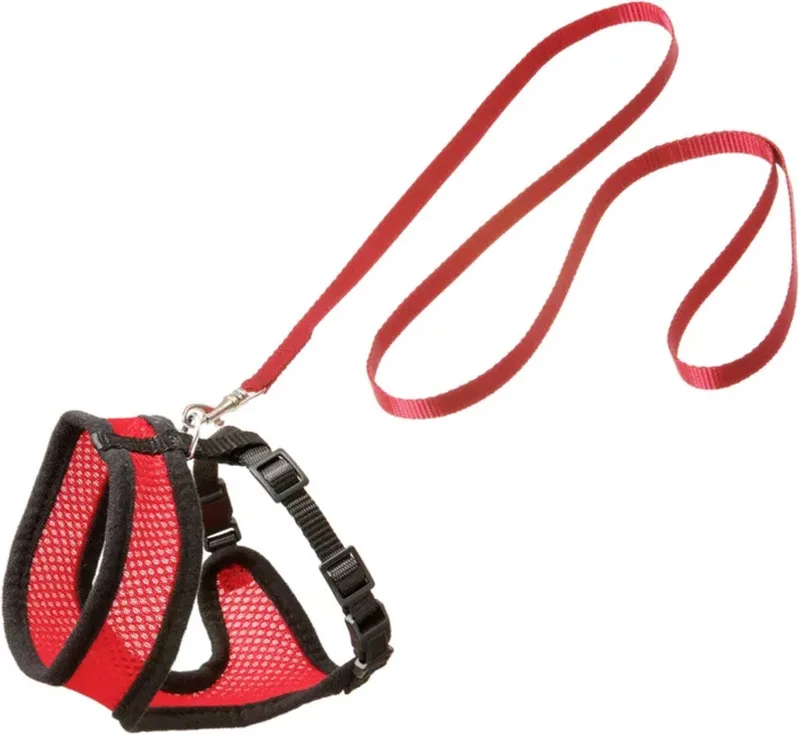 Harnas met Looplijn voor Kittens "Harms" – Rood/Zwart – Geschikt voor Europese Korthaar, Ragdoll, Maine Coon – 28 cm Borstomva de Flamingo en Rouge – photo produit