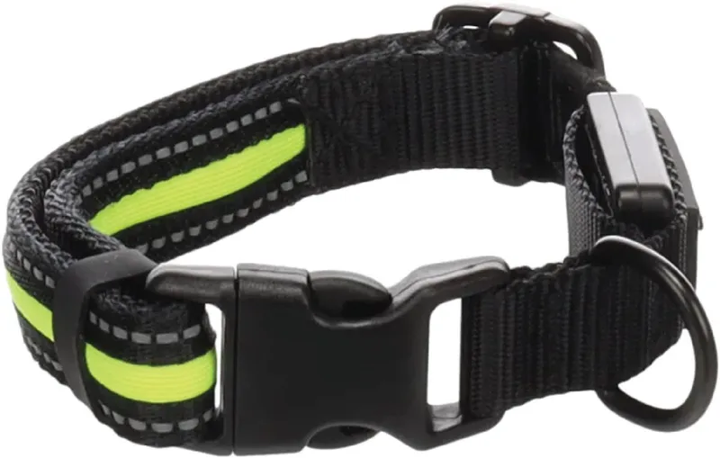 Hond Halsband Flitzy & Geel L 42-63cm 25mm - Hondenhalsband - Verlichting Hardlopen - Hardloopvest - Hondentuig - Honden Riem - valentijn by Flamingo in Black – product photo