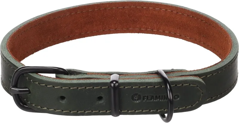 Hond Halsband Montana Groen M 37-45cm 20mm de Flamingo – photo produit