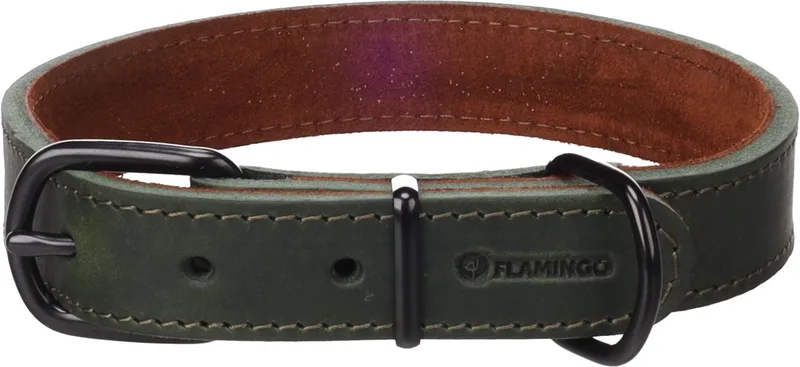 Hond Halsband Montana Groen M / L 38,5-48,5cm 25mm de Flamingo – photo produit