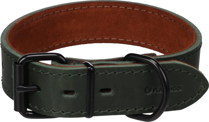 Hond Halsband Montana Groen M / L 39,5-49,5cm 35mm von Flamingo – Produktfoto