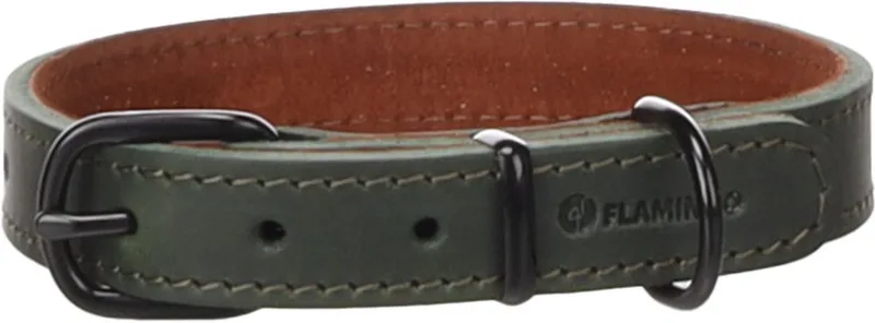 Hond Halsband Montana Groen S / M 32-40cm 20mm de Flamingo – photo produit