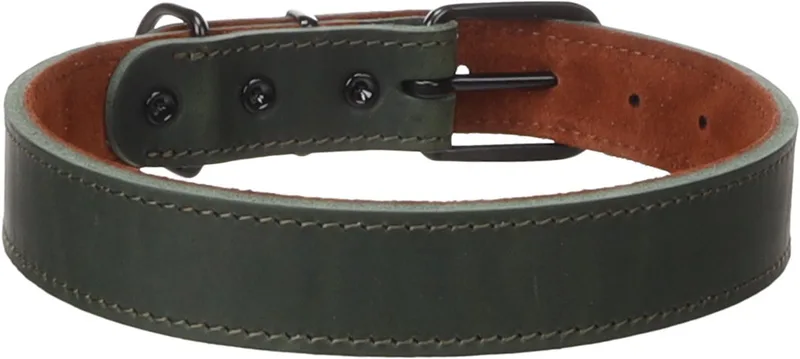 Hond Halsband Montana Groen XL 47,5-58cm 28mm by Flamingo – product photo
