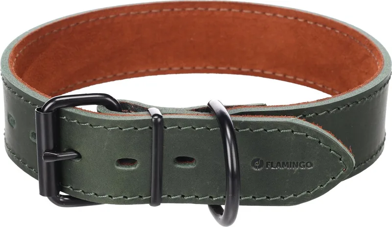 Hond Halsband Montana Groen XL 49-59cm 40mm de Flamingo – photo produit